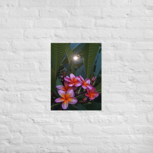 Affiche déco fleurs