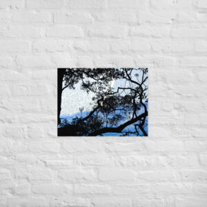 Affiche murale bleu noir